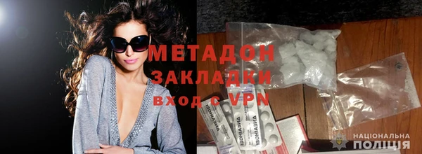 прущие грибы Горняк