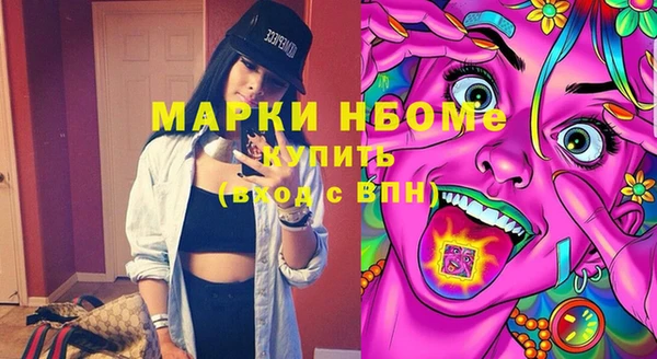 прущие грибы Горняк
