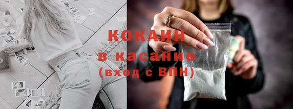 прущие грибы Горняк