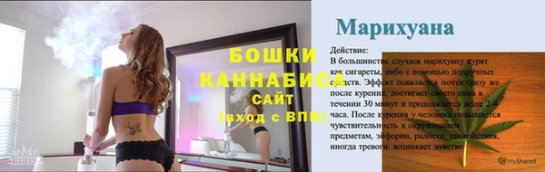 прущие грибы Горняк