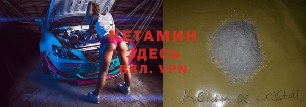 прущие грибы Горняк