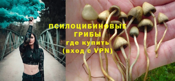 прущие грибы Горняк