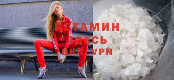 прущие грибы Горняк