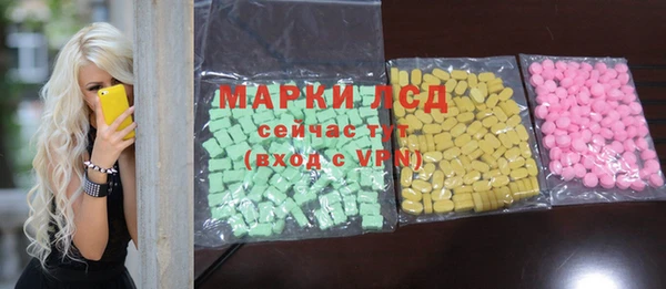 прущие грибы Горняк