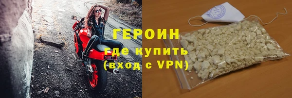 прущие грибы Горняк