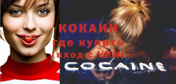 прущие грибы Горняк