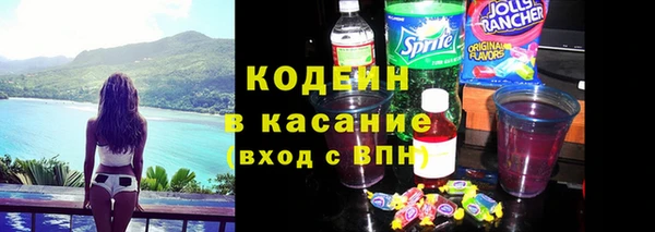 прущие грибы Горняк