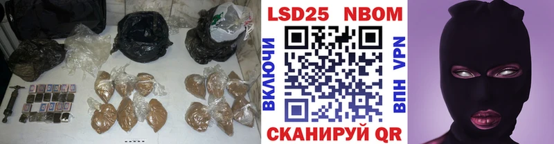 купить наркоту  Няндома  ЛСД экстази ecstasy 