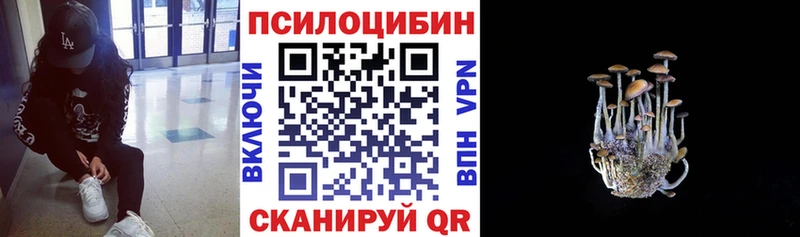 Галлюциногенные грибы мицелий  Няндома 